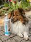 Preview: Chrisal's All Friends Animal Dog Shampoo